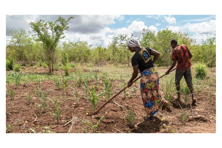 Sustainable Agriculture & Agribusiness Development